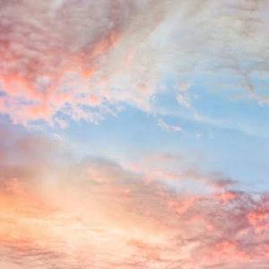 Meet your Posher, Jillian